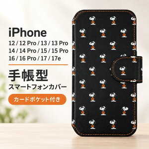 iPhone �P�[�X �X�k�[�s�[ �蒠�^ �A�C�t�H�� iPhone17 iPhone16 iPhone15 iPhone14 iPhone13 iPhone12 �ėp �}���` �W���[ �N�[�� MagSafe �}�O�l�b�g �J�[�h�|�P�b�g �J�[�h���� 2�� ���[ �L�����N�^�[ ���킢�� 