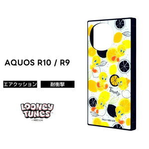 AQUOS R10 P[X LN^[ gDC[eB[ docomo SH-51F SH-51E ANIX R9 [j[ e[Y  \tg n[h X}zP[X 킢 