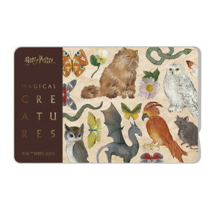 ICJ[hXebJ[ ICJ[h XebJ[ V[  d oX suica pasmo icoca manaca \ 