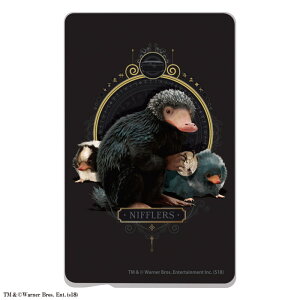 ICJ[hXebJ[ ICJ[h XebJ[ V[  d oX suica pasmo icoca manaca \ t@^XeBbNr[Xg t[