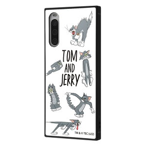 |Cg10{ 11/30 23:59Xperia 10 IV P[X SOG07 SO-52C Jo[ gƃWF[ ϏՌ LN^[ n[hP[X X}zP[X XNGA gWF[ 킢 GNXyA GNXy