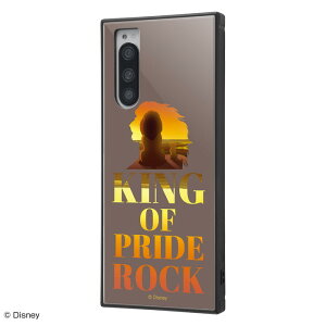 Xperia5 Jo[ P[X ϏՌ ی NbV SO-01M SOV41 901SO J9260 SIMt[ docomo au softbank GNXyA5 X}z ؍ CILO