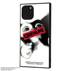 iPhone11 Pro Jo[ P[X ϏՌ Ռɋ ی ɋ XNGA lp n[h \tg NbV X}zP[X ACtH KAKU WARNING