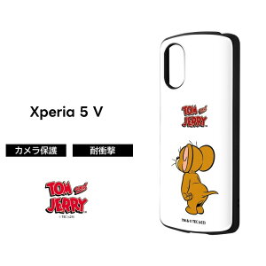 |Cg10{ 11/30 23:59Xperia 5 V P[X gƃWF[ Xperia5V SO-53D SOG12 XQ-DE44 GNXyA ϏՌ v nCubh \tg n[h X}zP[X LN^[ 킢 