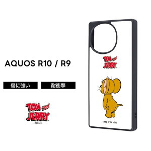 AQUOS R10 �P�[�X �g���ƃW�F���[ AQUOS R10 �P�[�X �J�o�[ AQUOS R10 �P�[�X �ϏՌ� AQUOS R10 �X�}�z�J�o�[ AQUOS R10 SH-51F �P�[�X �L�����N�^�[ docomo AQUOSR10 R9 SH-51E �g���ƃW�F���[ �g���W�F�� ���킢�� 