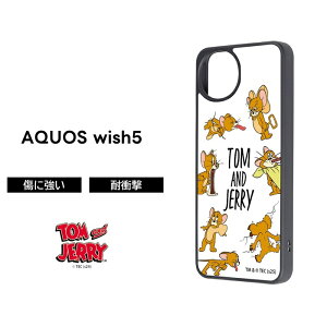 |Cg10{ 11/30 23:59AQUOS wish5 P[X LN^[ gƃWF[ docomo SH-52F ANIXEBbV5 WF[ gWF \tg n[h X}zP[X 킢 