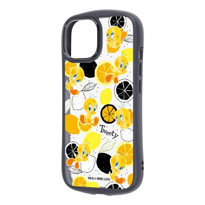 iPhone 15 P[X gDC[eB[ NA 14 13 iPhone15 iPhone14 iPhone13 ACtH15 LN^[ 킢  lC Ռz ɋ wʃNA Jی Yی nCubh Ϗ