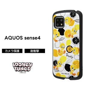 |Cg10{ 11/30 23:59AQUOS sense5G sense4basic sense4lite sense4 ANIX gƃWF[ ϏՌ ی Vv ݃J[ 킢 AEghA  SH-53A SHG03 docomo au LN^[ 