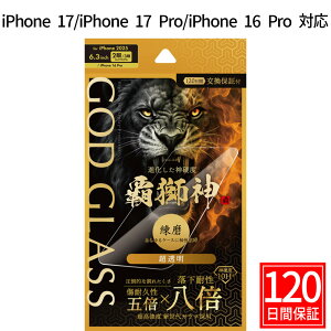 iPhone17 iPhone17Pro iPhone 16 Pro KXtB GOD GLASS e_   ϐ8{ VKX Tt@CAR[eBO Ϗ5{ [Xdx7 P[XƑQ ٓIx \T|t