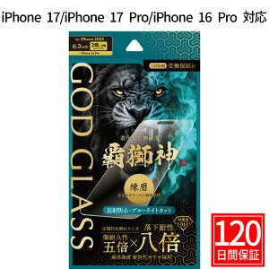 iPhone17 iPhone17Pro iPhone 16 Pro KXtB GOD GLASS e_  ˖h~ u[CgJbg ϐ8{ VKX Tt@CAR[eBO Ϗ5{ [Xdx7 P[XƑQ }