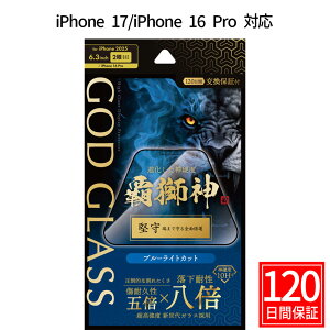 iPhone17 iPhone 16 Pro KXtB GOD GLASS e_  u[CgJbg ϐ8{ VKX Tt@CAR[eBO Ϗ5{ [Xdx7 Sʕی FȂȂ \T|Master F