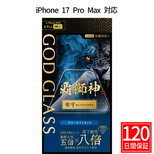 iPhone17ProMax KXtB GOD GLASS e_  u[CgJbg ϐ8{ VKX Tt@CAR[eBO Ϗ5{ [Xdx7 [܂ŕی Sʕی FȂȂ \T|