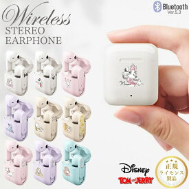 ディズニー ワイヤレスイヤホン Bluetooth 5.3 完全ワイヤレスイヤホン PGA インナーイヤー型 キャラクター かわいい イヤホン コンパクト 軽量 通話可能 音楽再生 最大4時間 充電ケース付き iPhone Android 対応 プレゼント おすすめ