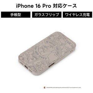 |Cg10{ 11/30 23:59iPhone 16Pro iPhone16Pro 蒠^ P[X gWF gƃWF[ ϏՌ NA wʃNA KX KXtbv J[h[ J[h|Pbg CX[d 蒠