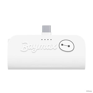 USB Type-C }oCobe[ 5,000mAh xC}bNX fBYj[ ^ nYt[ [d obe[ 2䓯[d ^CvC ^CvV[ @OK [d 킢