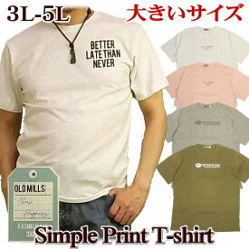 Tシャツ メンズ 半袖 大寸 大きいサイズ キングサイズ アウトドア アメカジ シンプルプリント 薄手 3L 4L 5L