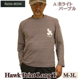 Tシャツ 長袖 9分袖 メンズ ワンポイント プリント ロンT タカ ホーク M L LL 3L 普通寸 - 大きいサイズ
