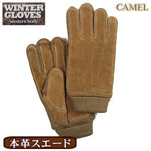 XG[h Y {v n 񃊃ug JWA M-L ~ h h  g