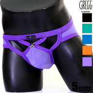 メンズビキニ ブリーフ GreggHomme/グレッグ・オム CANDY-X BRIEF フロントカット ビキニブリーフ 男性下…