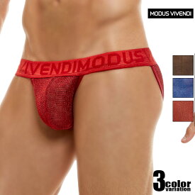 メンズビキニ ブリーフ ModusVivendi/モダス ビベンディ Armor Tanga Brief シースルー フルバック ハイカットレッグ 透け　ローライズ ラメ キラキラメンズビキニ ビキニブリーフ 男性下着　メンズ　パンツ