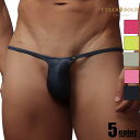 メンズビキニ TYLER BOLD/タイラーボールド 【バーニング】 スリムライン ブラガビキニ 男性下着 メンズ パンツ セク…