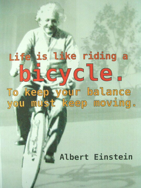 楽天市場 アインシュタインの名言ｔシャツ サイズ S M L Xl ３９８０円以上で 送料無料 ｔシャツ メンズ 半袖 プリント アインシュタイン 名言 言葉 教訓 デザインｔシャツ Albert Einstein Tshirt プレゼント包装無料 旅々ｔシャツ屋アジアンラティーノ