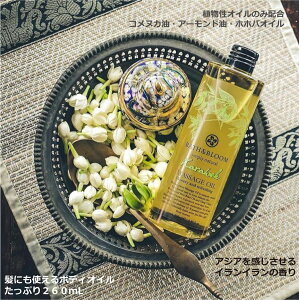 yz BATHBLOOM {fBPA wAIC {fBIC  ^C JEBN }bT[WIC CC   ₳ݍ    RkJ A[h 