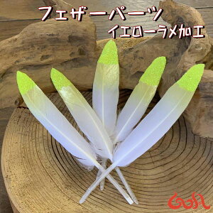 _Si2_ȏ5OFFN[|^17܂ŁtFU[p[c H H tFU[ p[c nhCh ANZT[ |   fBXvC GXjbN SA*1