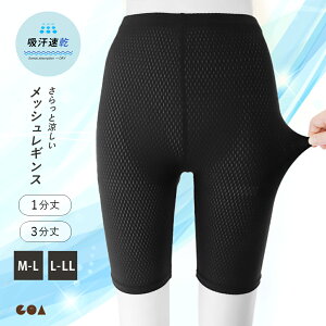 MX fB[X  bV  N[ Ci[MX 1 3 z Xpbc 傫TCY Ci[pc  hC X|[c W K EH[LO V[gM