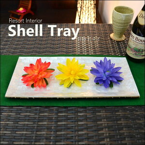 AWA G o Lk̃][gȃgC `(38.5cm×18cm) OTH-0076-B AWA o G gC g[  ڂ ~ v[g L Lk L L̃gC  u EFf