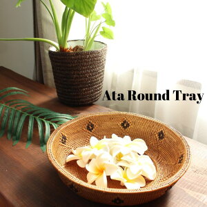 AWA G A^ EhgC/oXPbg//ی^ 30cm BAS-0148 yoG AWAG AWACeA  Lb`G  [   JS g[ gC