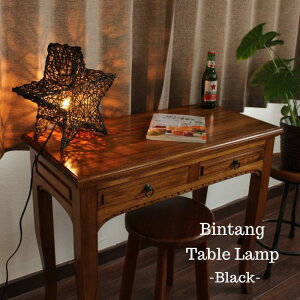 ` e[uvyLAM-0460T-BKzubN E12/20W X^hCg ԐڏƖ AWA rO Hp Q AWAƖ Cg q v JE^[ 킢  Vv 