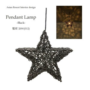 星形 ペンダントライト【LAM-0460-BK】ブラック ▽E12/20W アジアン つり下げ照明 ダイニング ダクトレール 食卓用 寝室 アジアン照明 ライト 子供部屋 ハンギング ランプ カウンター かわいい お