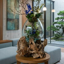 楽天市場】流木 特大（素材（インテリア）木）（インテリア・寝具 