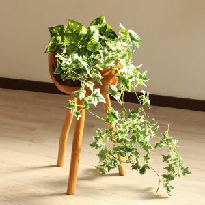 v^[Jo[ ؐ `[N C I[h`[N Í p TCN GR ܑ̂Ȃ  1_ ؂̃IuWF Ebh{E ؐ{E fBXvC  j[N I[