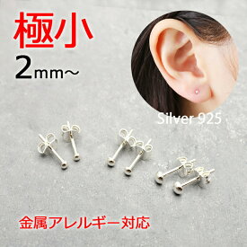 極小 ピアス 2mm 2.5mm 3mm 目立たない シルバー925 スタッドピアス セカンドピアス ミニ 小さい レディース メンズ つけっぱなし シンプル 金属アレルギー対応 ニッケルフリー 仕事 学校 就活 ドーム シルバー アクセサリー プレゼント