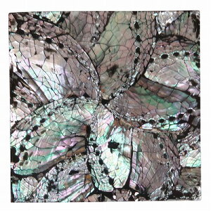 VF R[X^[ ڊL XNGA 10X10 AWAG oG ][g VFRbvu Lk vA ԕ lpy[ցz330116