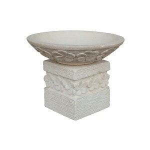 vÃXg[{E pXXg[ 14cm ~  gC g[ AWAG oG nCAG Β蒤 tWpjykCEꌧzsz250312