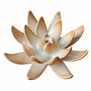 [^X 퐻 AWAG oG @̉Ԃ̂ @̂ P~bN Z~bNykCEꌧzsz090511