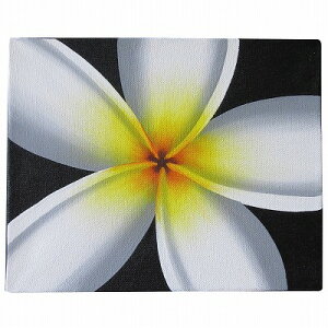 プルメリアの絵 アップ 25X20 ブラック ハワイアン雑貨 アジアン雑貨 バリ雑貨 バリ絵画 モダンアート バリアート 黒 花の絵 フランジパニの絵 リゾート【メール便】240032