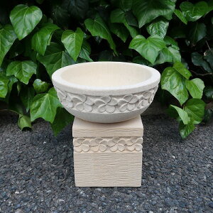 vÃXg[{E 24cm pXXg[ ~ LTCY tWpj  IuWF K[fI[ig AWAG oG nCAG ][g 250315