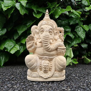 Kl[VΑ SP 35cm pXXg[ Kl[V̒u AWA o Β蒤  K[f IuWF I[ig AWAG oG VR Β蒤 qhD[̐_l w