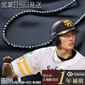 コラントッテ ネックレス LUCE α ルーチェ アルファ colantotte 正規品 磁気ネックレス 肩こり 解消グッズ 磁気アクセサリー 冷え性 対策 血行改善 男性用 女性用 メンズ レディース WBC 山崎颯一郎 周東佑京 選手愛用 おしゃれ オシャレ プレゼント クリスマス