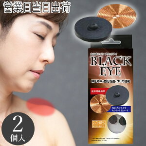 丸山式コイル ブラックアイ 2個入 電磁波防止 電磁波対策 一般医療機器 押圧効果 血行促進 コリの緩和 電磁波カット 電磁波ブロッカー 秋ギフト