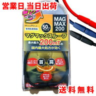 マグマックス ループ 200 磁気 ネックレス 首 肩 管理医療機器 血行改善 200mt ギフト プレゼント 母の日