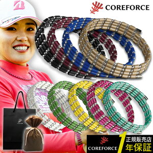 RAtH[X [v K14 zCgS[h S70cm COREFORCE 14K lbNX uXbg Ki ANbg ANZT[ ̊ oX St XCO  򋗗 Abv  