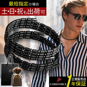 RAtH[X [v ubNXsl 70 50 Ki S 70cm 50cm COREFORCE LOOPBLACK SPINEL lbNX ANZT[ ̊ oX St XCO  򋗗 Abv  Y fB[