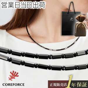 RAtH[XlbN v ubN Xsl 44cm COREFORCE ANZT[ Ki ̊ oX St XCO  򋗗 Abv  Y fB[X K Í]ʉ vSt