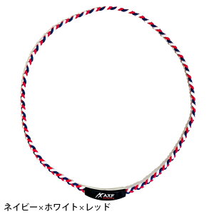 AXF lbNX ANZt `[jOoh AXF303 ̊ si AX[g RG92  Jo[ { VR X|[clbNX bNX sN×lCr[ CG[×u[ u