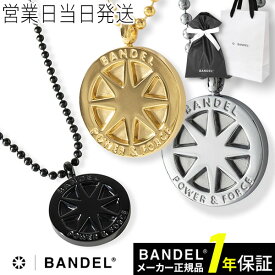 バンデル チタン ネックレス ラージ BANDEL ギフト プレゼント 敬老の日